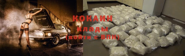 ешки Алексин